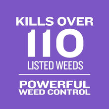 Member_sMarkSouthernWeed_Feed12M2 - Brands For Less USA