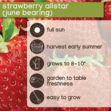 Member_sMarkStrawberryAllstar_40pk3 - Brands For Less USA
