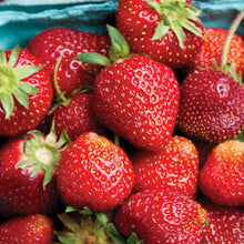 Member_sMarkStrawberryAllstar_40pk6 - Brands For Less USA