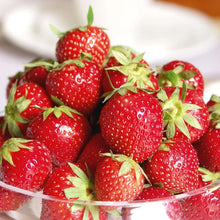 Member_sMarkStrawberryOzarkBeauty_40pk5 - Brands For Less USA