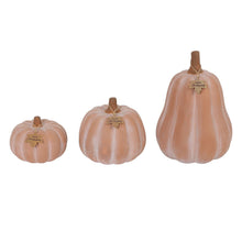 Member's Mark Terra Cotta Pumpkins, Set of 3
