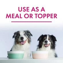 Member_sMarkTurkeyStewwithVegetablesWetDogFood_11oz._24boxes4 - Brands For Less USA