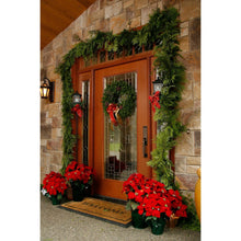 Member's Mark Western Red Cedar Garland, 25 ft.