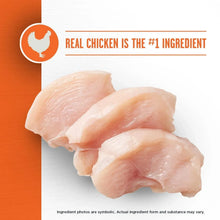 Member_sMark_PrimeFeastwithChicken_SalmonDryCatFood_25lbs.2 - Brands For Less USA