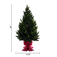 Member's Mark 48" Pre-Lit Topiary in Red Bow Container