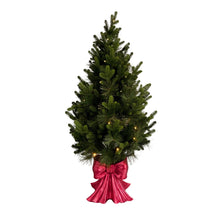 Member's Mark 48" Pre-Lit Topiary in Red Bow Container