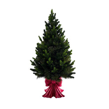 Member's Mark 48" Pre-Lit Topiary in Red Bow Container