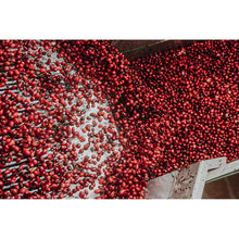 Member's Mark Clinical Strength Cranberry Capsules, 500 mg, 150 ct.