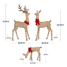 Member's Mark Pre-Lit Animated Deer Family, Set of 3