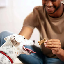 Milk-BoneFlavorSnacksVarietyPackSmallCrunchyDogBiscuits-8lbs-2-_6 - Brands For Less USA