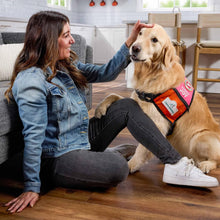 Milk-Bone_Dunkin_Vanilla_Gl3 - Brands For Less USA
