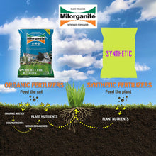 Milorganite Long Lasting All Purpose Lawn Food, 6-4-0 Fertilizer, 32 lb. - Brands For Less USA