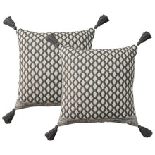 Mina Victory 2-pack Throw Pillows