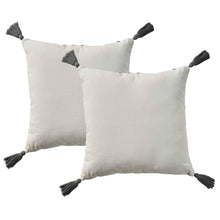 Mina Victory 2-pack Throw Pillows