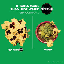Miracle-Gro-Liquid-All-Purpose-P1 - Brands For Less USA