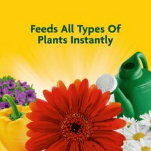 Miracle-Gro-Liquid-All-Purpose-P2 - Brands For Less USA
