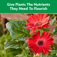 Miracle-Gro-Liquid-All-Purpose-P4 - Brands For Less USA