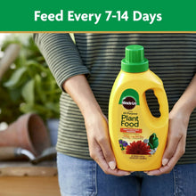 Miracle-Gro-Liquid-All-Purpose-P7 - Brands For Less USA