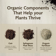 Miracle-Gro-Organic-Indoor-Potti3_b4bb4206-17fa-4e25-b720-554556c0b56d - Brands For Less USA