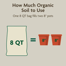 Miracle-Gro-Organic-Indoor-Potti9_5fd71797-6b5e-4d5c-8488-c105342f8ac7 - Brands For Less USA