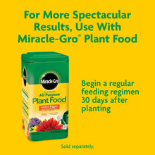 Miracle-Gro Potting Mix, For Container Plants, Flowers, Shrubs, 16 qt. - Brands For Less USA