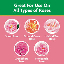 Miracle-Gro-Powder-Rose-Plant-Fo3 - Brands For Less USA