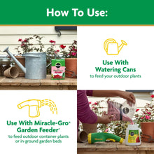 Miracle-Gro-Powder-Rose-Plant-Fo4 - Brands For Less USA