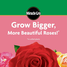 Miracle-Gro-Powder-Rose-Plant-Fo5 - Brands For Less USA