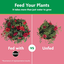Miracle-Gro-Powder-Rose-Plant-Fo6 - Brands For Less USA