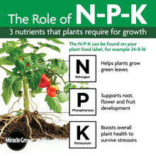 Miracle-Gro-Shake-N-Feed-All-Pur10 - Brands For Less USA