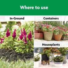 Miracle-Gro-Shake-N-Feed-All-Pur5 - Brands For Less USA