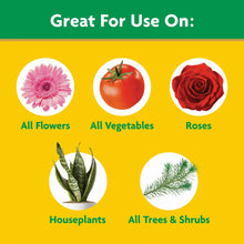 Miracle-Gro-Water-Soluble-All-Pu1_8c0af953-b2f0-4446-b4bc-58fbd6c64229 - Brands For Less USA