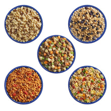 Mountain House Classic Meal Assortment Bucket (24 Total Servings), Freeze-Dried Backpacking & Camping Food