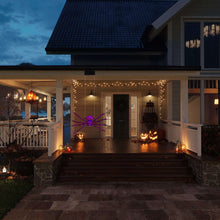 Mr. Halloween Outdoor Rope Climbing Spider