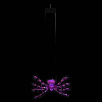 Mr. Halloween Outdoor Rope Climbing Spider
