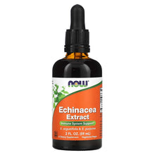 NOW Foods, Echinacea Extract, 2 fl oz (59 ml) - Brands For Less USA