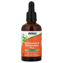 NOWFoods_Echinacea_GoldensealPlus_2floz_59ml - Brands For Less USA