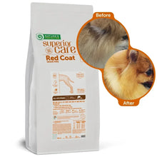 Nature-s-Protection-Superior-Care-Grain-Free-Dry-Dog-Food-High-Protein-Coat-Shine-Dog-Food-Breeds-Red-Coated-Life-Stages-Dogs-Fresh-Pet-Meal-Salmon-2_f0524410-97d9-48f8-a676-b8db1f43b - Brands For Less USA