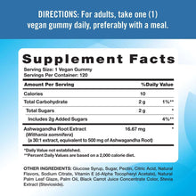 Nature's Truth Restore and Unwind Tropical Ashwagandha Gummies, 500 mg. 120 ct.