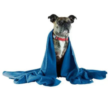 Nellie_sDogTowelandWaterlessDog16flozShampooBundle1 - Brands For Less USA