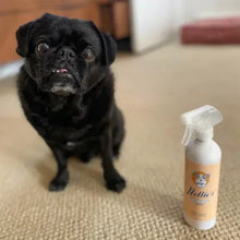 Nellie_sDogTowelandWaterlessDog16flozShampooBundle5 - Brands For Less USA