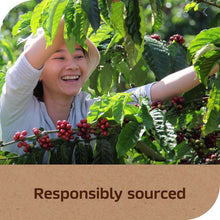 NESCAFE Taster's Choice Instant Coffee, House Blend, Light-Medium Roast,14 oz