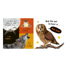 Noisy Halloween, Board Book