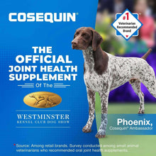NutramaxCosequinJointHealthSupplementforDogswithGlucosamine-Chondroitin-MSM-Omega-3-sandHA-150So_2917_7 - Brands For Less USA