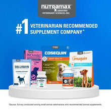 NutramaxCosequinJointHealthSupplementforDogswithGlucosamine-Chondroitin-MSM-Omega-3-sandHA-150So_2945_9 - Brands For Less USA