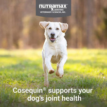 NutramaxCosequinJointHealthSupplementforDogswithGlucosamine_Chondroitin_MSM_Omega-3_sandHA_150SoftChews8 - Brands For Less USA