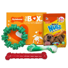 Nylabone Chew Toys & NUBZ Chew Treats Holiday Gift Box, 4-count