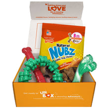 Nylabone Chew Toys & NUBZ Chew Treats Holiday Gift Box, 4-count