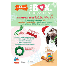 Nylabone Chew Toys & NUBZ Chew Treats Holiday Gift Box, 4-count