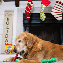 Nylabone Chew Toys & NUBZ Chew Treats Holiday Gift Box, 4-count